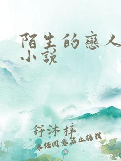 陌生的恋人原著小说