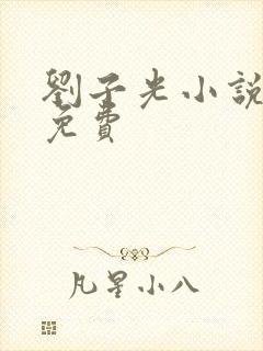 刘子光小说全文免费