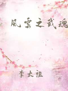 风云之武魂