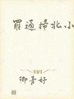 罗通扫北小说