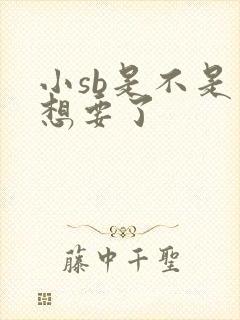 小sb是不是又想要了