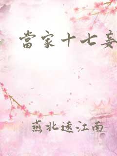 当家十七妾