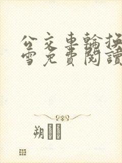 公交车轮换C程雪免费阅读