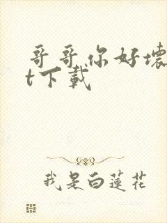 哥哥你好坏txt下载