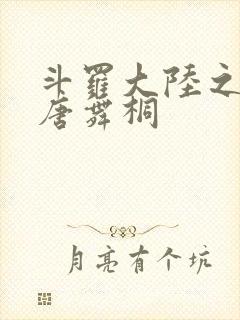 斗罗大陆之肉奴唐舞桐