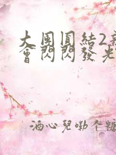 大团圆结2亲情会闪闪发光亲情会2