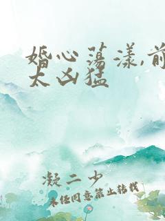 婚心荡漾,前夫太凶猛