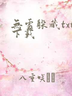 无处躲藏txt下载