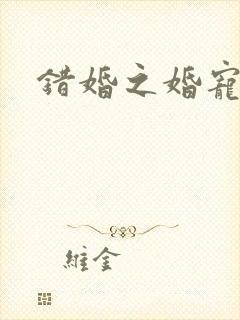 错婚之婚宠一世