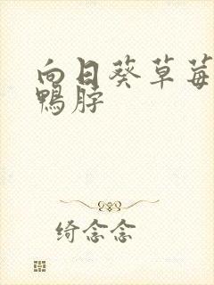 向日葵草莓丝瓜鸭脖