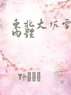 东北大坑雪白的肉体