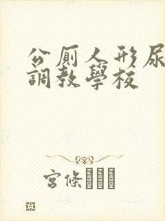 公厕人形尿便器调教学校