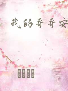 我的哥哥安小天