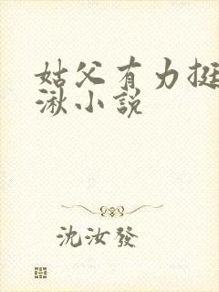 姑父有力挺送徐湫小说