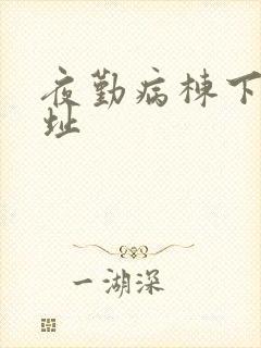 夜勤病栋下载地址