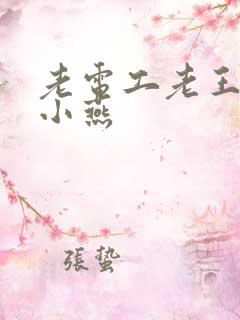 老电工老王和李小燕