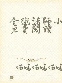 全职法师小说 免费阅读