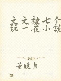 文文被七个男人玩一夜小说