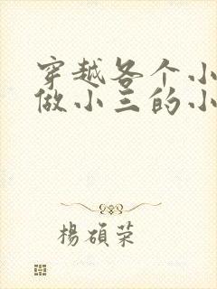 穿越各个小世界做小三的小说