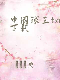 中国球王txt下载