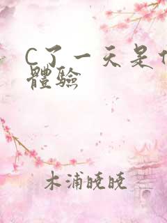C了一天是什么体验