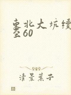 东北大坑续集1至60