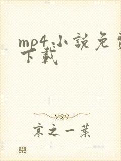 mp4小说免费下载