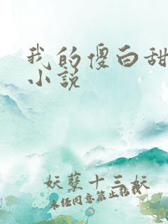 我的傻白甜老婆小说