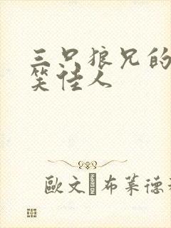 三只狼兄的宠妻笑佳人