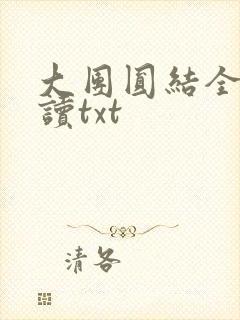 大团圆结全文阅读txt