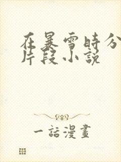 在暴雪时分高能片段小说