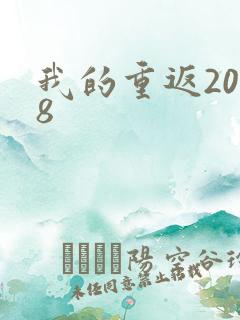 我的重返2008