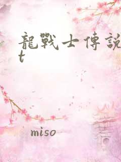 龙战士传说txt
