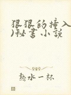 狠狠的撞入(h)秘书小说