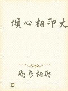 倾心相印大结局