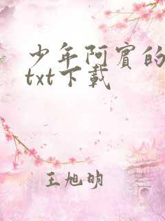 少年阿宾的故事txt下载