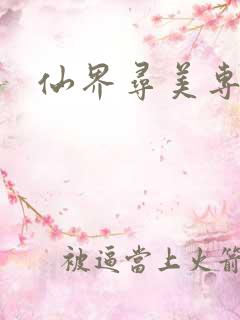 仙界寻美专家