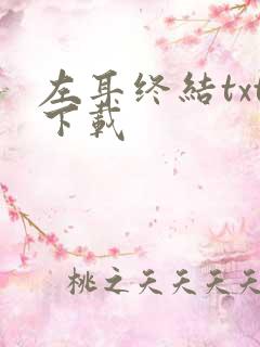 左耳终结txt下载