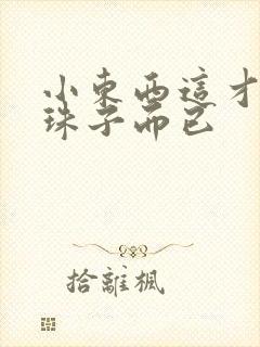 小东西这才一颗珠子而已