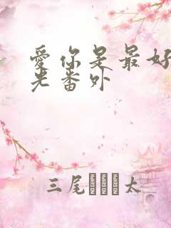 爱你是最好的时光番外