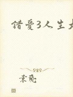 错爱3人生大事