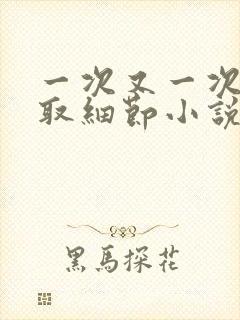 一次又一次的索取细节小说