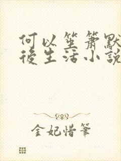 何以笙箫默之婚后生活小说