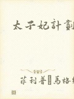 太子妃计划