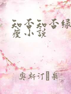 知否知否绿肥红瘦小说