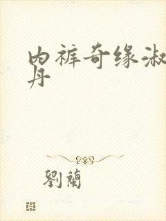 内裤奇缘淑芬小丹