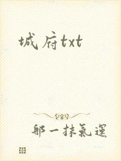 城府txt