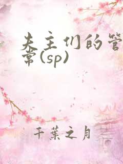 夫主们的管教日常(sp)