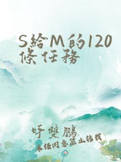 S给M的120条任务