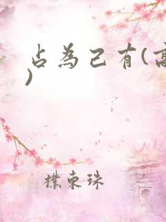 占为己有(高干)